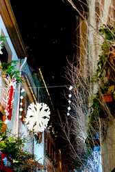 Similar image 1409794