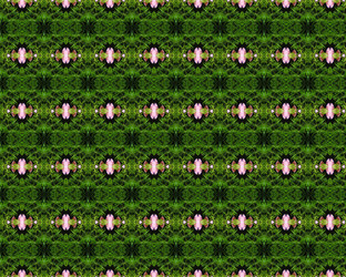 Similar image 1409888