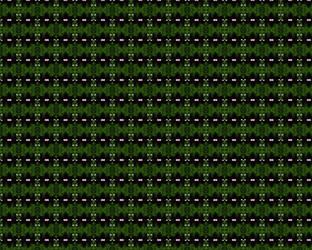 Similar image 1409891