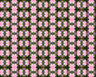 Similar image 1409959