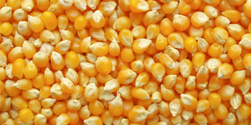 Similar image 1410012