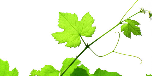 Similar image 1410022