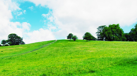 Similar image 1410075