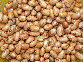 Similar image 1410096