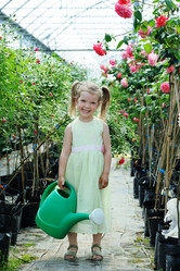 Similar image 1410267