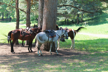 Similar image 1410293