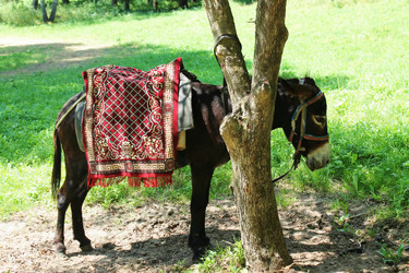 Similar image 1410294