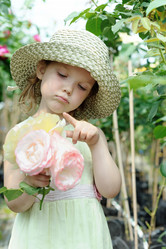 Similar image 1410314