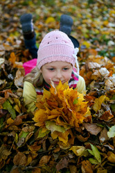 Similar image 1410395