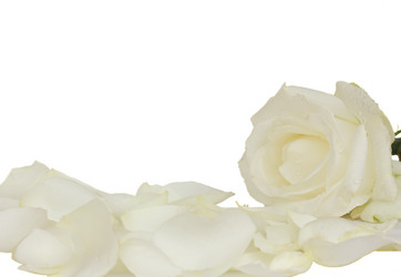 Similar image 1410428