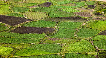 Similar image 1410525