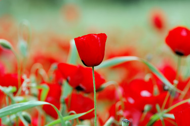 Similar image 1410653