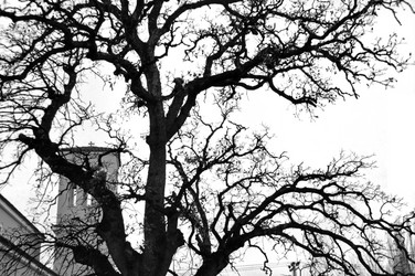 Similar image 1410681