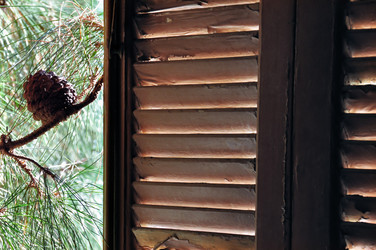 Similar image 1410721