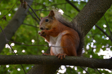 Similar image 1410784