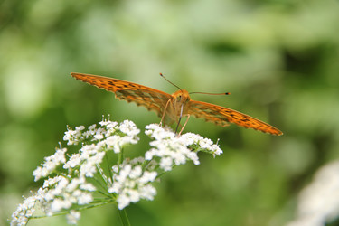 Similar image 1410785