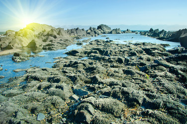 Similar image 1410847