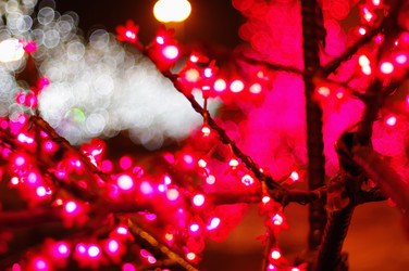 Similar image 1410849