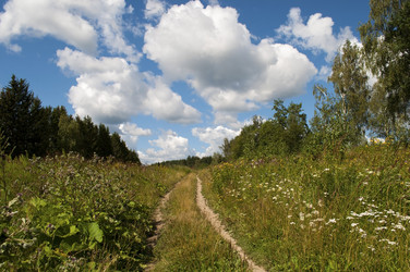 Similar image 1410865