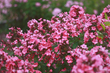 Similar image 1410885