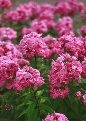 Similar image 1410888