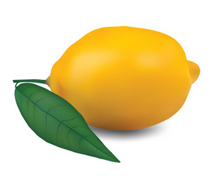 Similar image 1410894