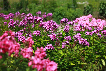 Similar image 1410918