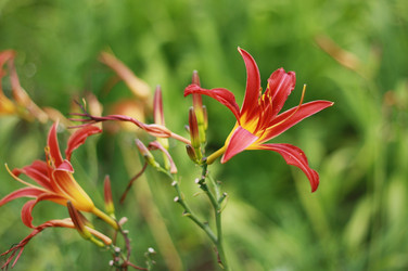 Similar image 1410919