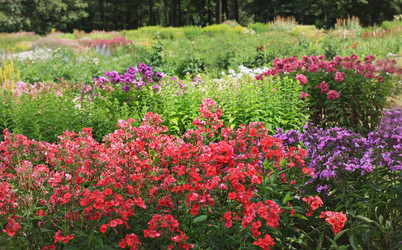 Similar image 1410920