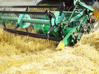 Similar image 1410944