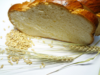 Similar image 1410945