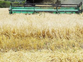 Similar image 1410981