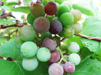 Similar image 1410982