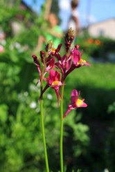 Similar image 1411017