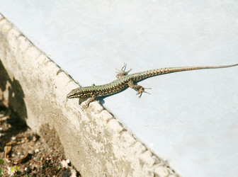 Similar image 1411077