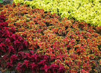 Similar image 1411088