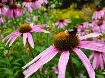 Similar image 1411089