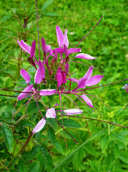 Similar image 1411090