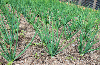 Similar image 1411127