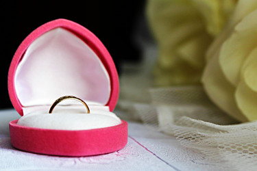 Similar image 1411135