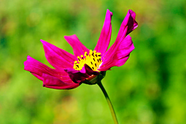 Similar image 1411136