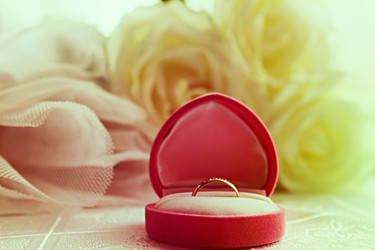 Similar image 1411138