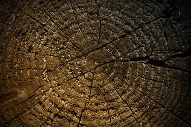 Similar image 1411213