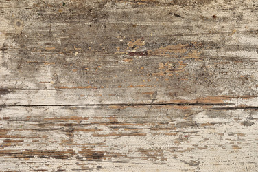 Similar image 1411219