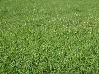 Similar image 1411238