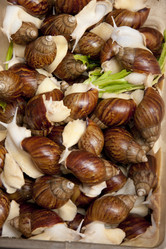 Similar image 1411283