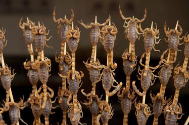 Similar image 1411285