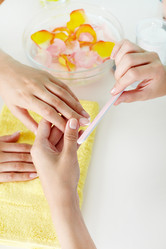 Similar image 1411312