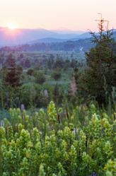 Similar image 1411339