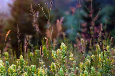 Similar image 1411343